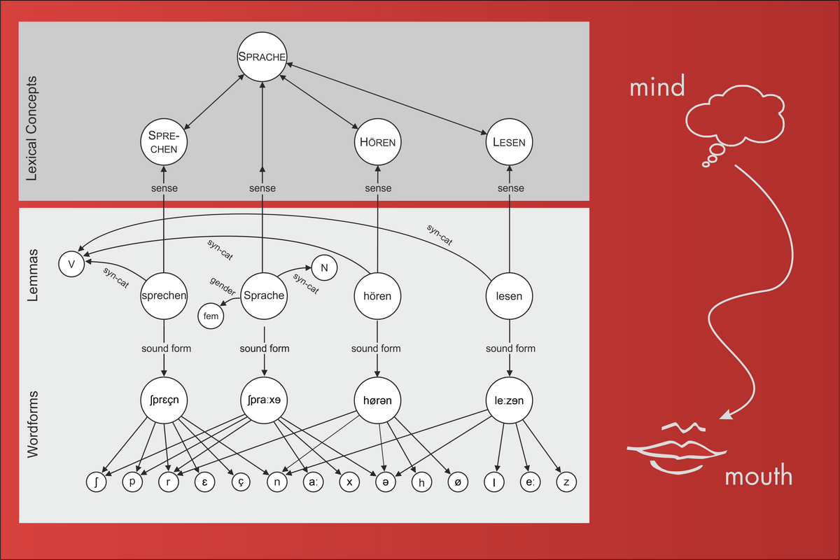 zur Vergrößerungsansicht des Bildes: Darstellung eines Modells der Wortproduktion. Die Modellebenen beinhalten Konzepte, Lemmata und Wortformen.