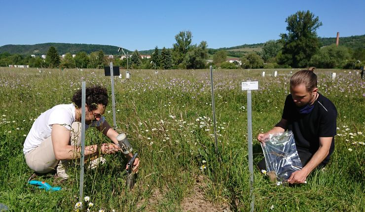 Two student during the fieldwork in Jena Experiment