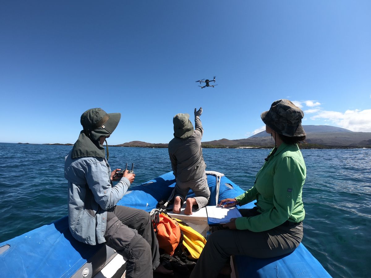 Flug mit der Drohne vom Boots aus auf Galapagos