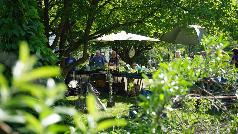 Jedes Jahr im Frühjahr und Herbst versammelt der Botansiche Garten eine Vielzahl an Pflanzenraritäten von Händler:innen aus der Umgebnung und bundesweit. 