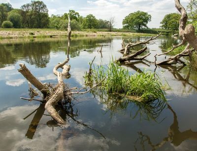 Mulde Fluss mit Holz 