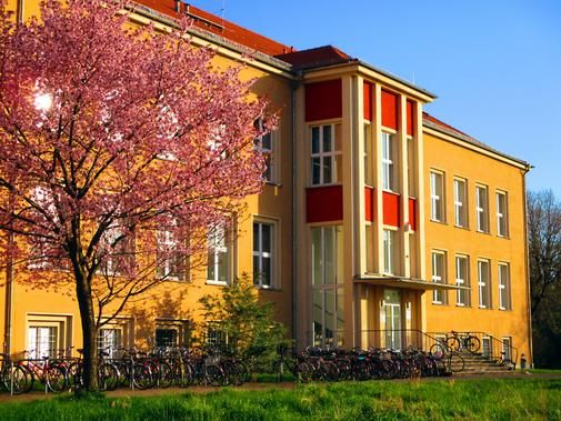 Das Gebäude Johannisallee wird von der Sonne angestrahlt.