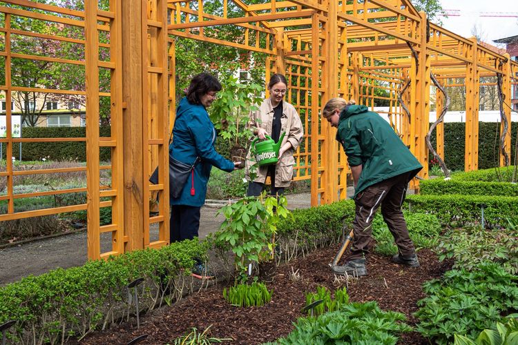 Einweihung der neuen pergola im Apothekergarten 