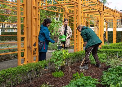 Einweihung der neuen pergola im Apothekergarten 