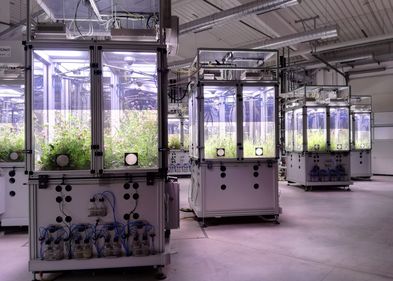 Das iDiv Ecotron besteht aus mehreren kontrollierbaren Mini-Ökosystemen, sogenannten EcoUnits