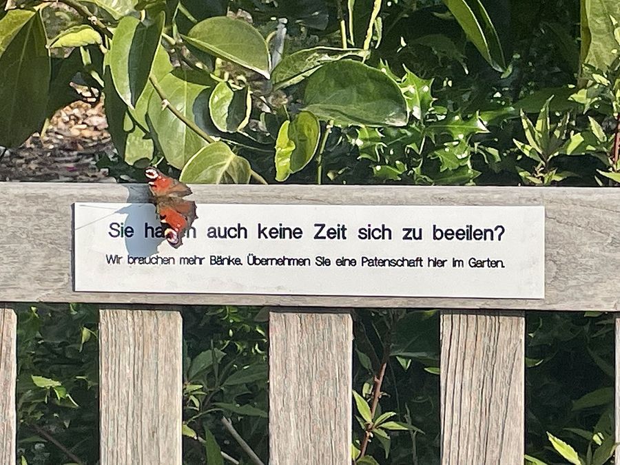 zur Vergrößerungsansicht des Bildes: Mehr Bänke zum Ausruhen: Mit einer Bankpatenschaften im Botanischen Garten der Universität Leipzig unterstützen Sie die Arbeit des Gartens und leisten einen wertvollen Beitrag für den Erhalt der Artenvielfalt. Foto: Dorett Bothmann