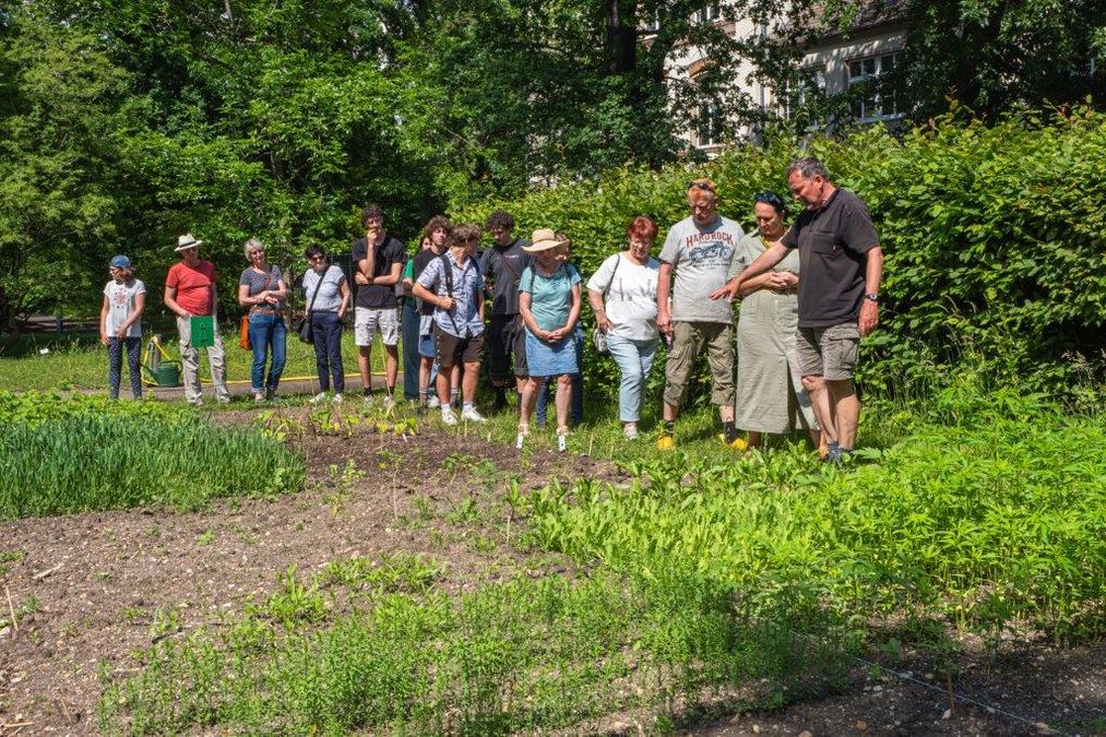 zur Vergrößerungsansicht des Bildes: Sonntagsführung auf dem Botanischen Acker mit Ralf Pannowitsch im Botanischen Garten der Universität Leipzig 2024, Foto: Wolfgang Teschner