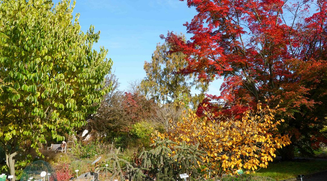 Universität Leipzig Botanischer Garten
