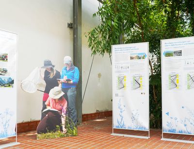Blick in die Ausstellung Blüten(be)sucher in der Orangerie der Gewächshäuser. Es sind drei Tafeln mit Informationstexten zur Ausstellung zu erkennen.