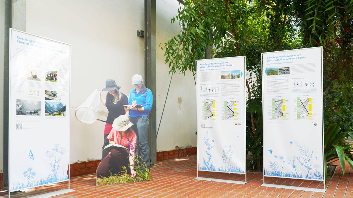 zur Vergrößerungsansicht des Bildes: Blick in die Ausstellung Blüten(be)sucher in der Orangerie der Gewächshäuser. Es sind drei Tafeln mit Informationstexten zur Ausstellung zu erkennen.