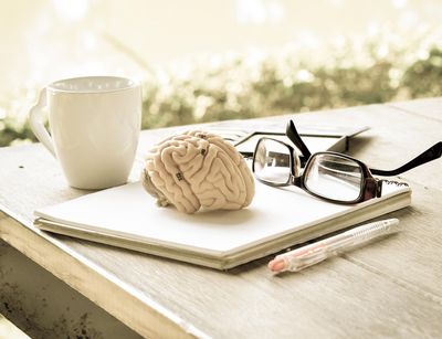 Schreibtisch mit Tasse, Brille und Gehirn