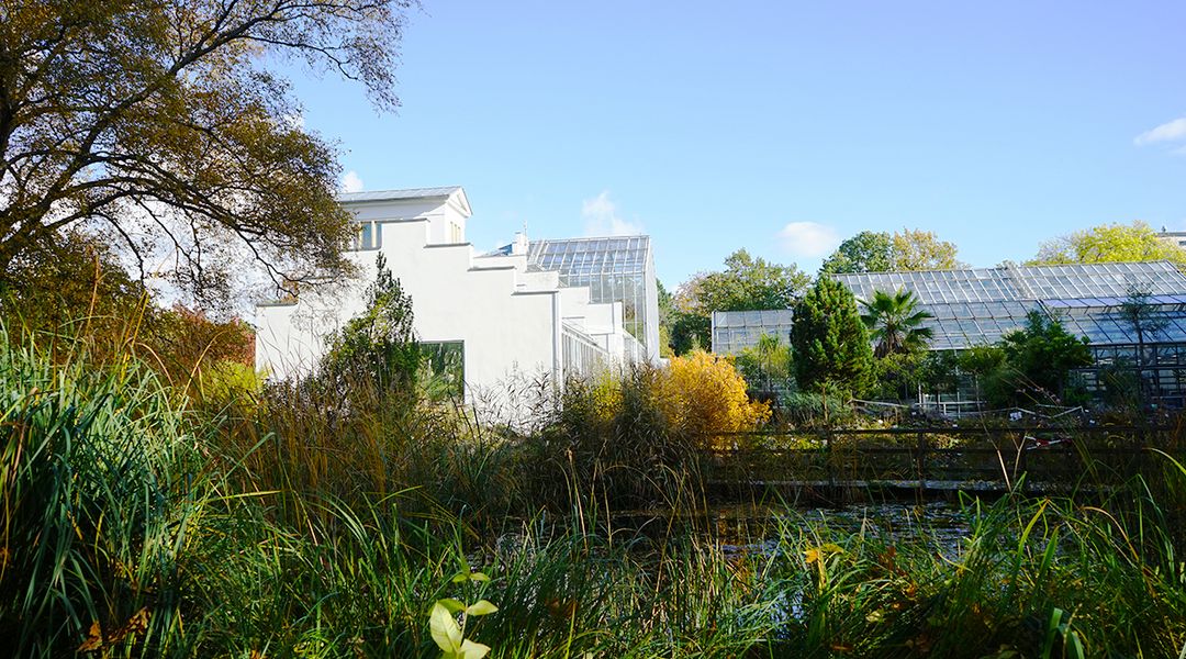 Blick über die Teichanlage auf die Gewächshäuser, Foto: Botanischer Garten Leipzig