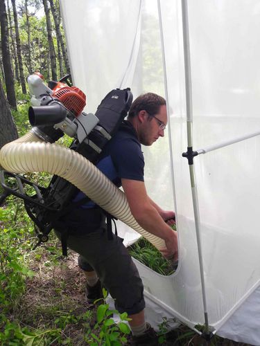 Malte Jochum, Erstautor der Studie, bei der Probenahme mit dem Insektensauger.