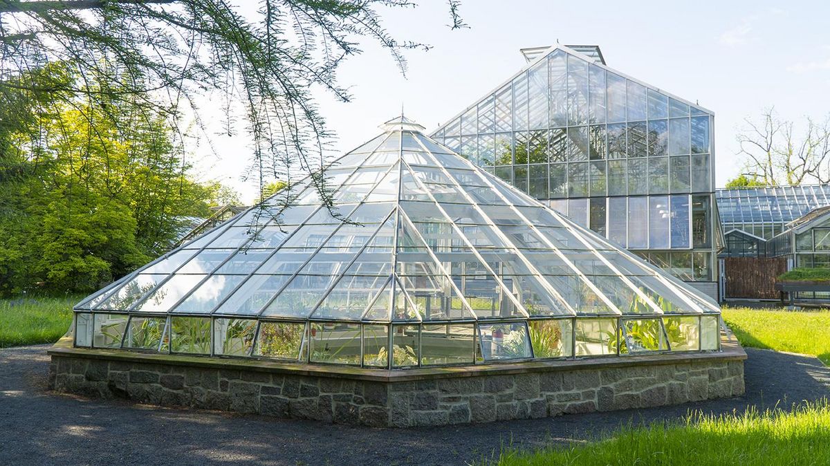 zur Vergrößerungsansicht des Bildes: Blick auf das Victoriahaus und die südliche Front der Gewächshäuser, Foto: Botanischer Garten Leipzig