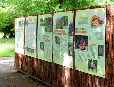 Posterausstellung im Außenbereich des Botanischen Gartens zum Thema Neue Wilde; Foto: Botanischer Garten Leipzig