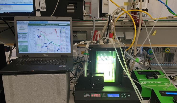 grüne Zellen von Chlamydomonas reinhardtii wachsen in einem Plattenbioreaktor. Foto:Antonia Schad