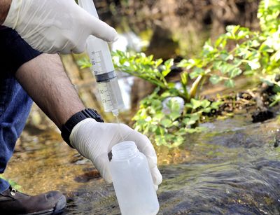 Exkursion, Geländepraktikum, Wasserprobe