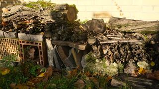 Tockenmauer aus Steinen und Holz im Botanischen Garten, Foto: Rolf A. Engelmann