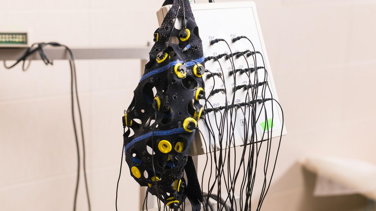 enlarge the image: Photo of an EEG cap with cables and electrodes