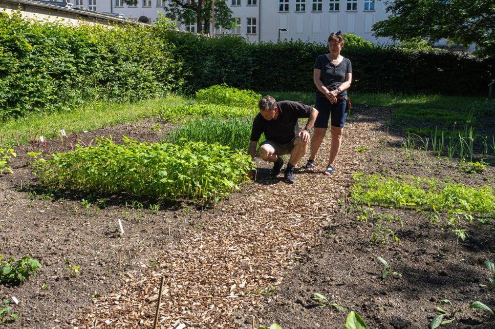 zur Vergrößerungsansicht des Bildes: Ralf Pannowitsch mit Besucherin auf dem Botanischen Acker im Botanischen Garten der Universität Leipzig 2024, Foto: Wolfgang Teschner