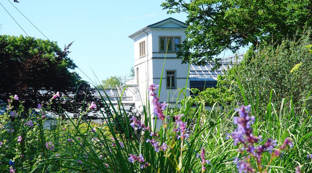 Universität Leipzig Botanischer Garten