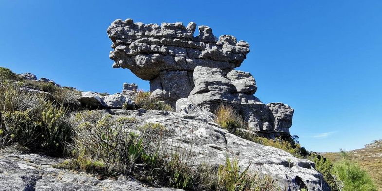 Impressionen der studentischen Exkursion nach Südafrika; Foto: Wolfgang Teschner