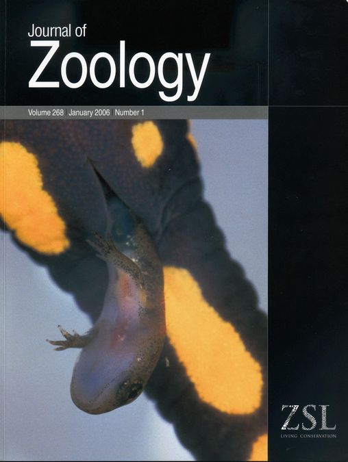 zur Vergrößerungsansicht des Bildes: Journal of Zoology. 2006 Jan.
