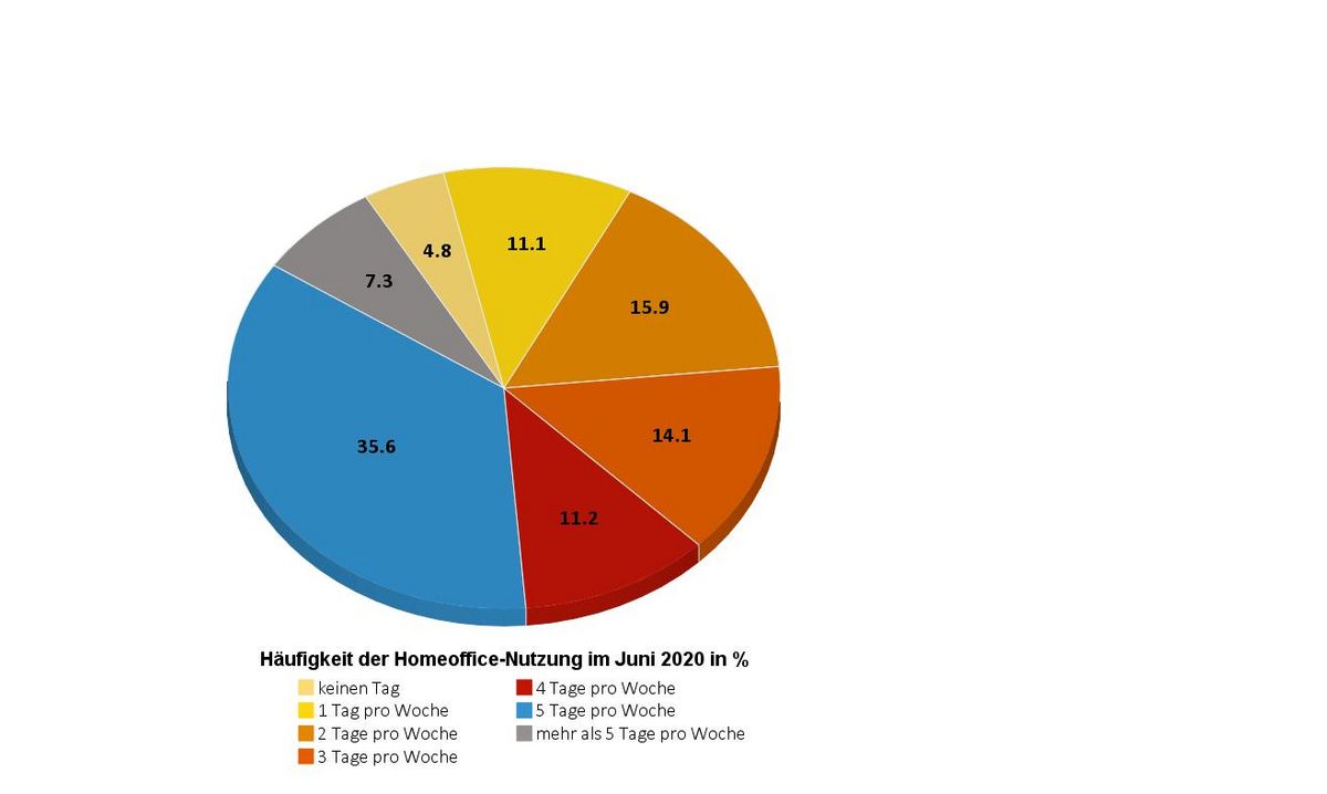 zur Vergrößerungsansicht des Bildes: Abbildung 5: Häufigkeit der Homeoffice-Nutzung im Juni 2020 in % 