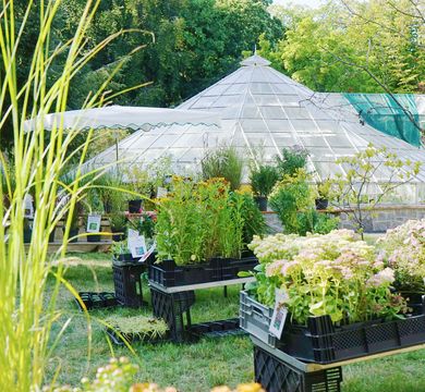 Pflanzenmarkt im Herbst, Foto: Botanischer Garten Leipzig Verkaufsstände auf dem Leipziger Pflanzenmarkt. Im Hintergrund ist das historische Victoriahaus zu erkennen.